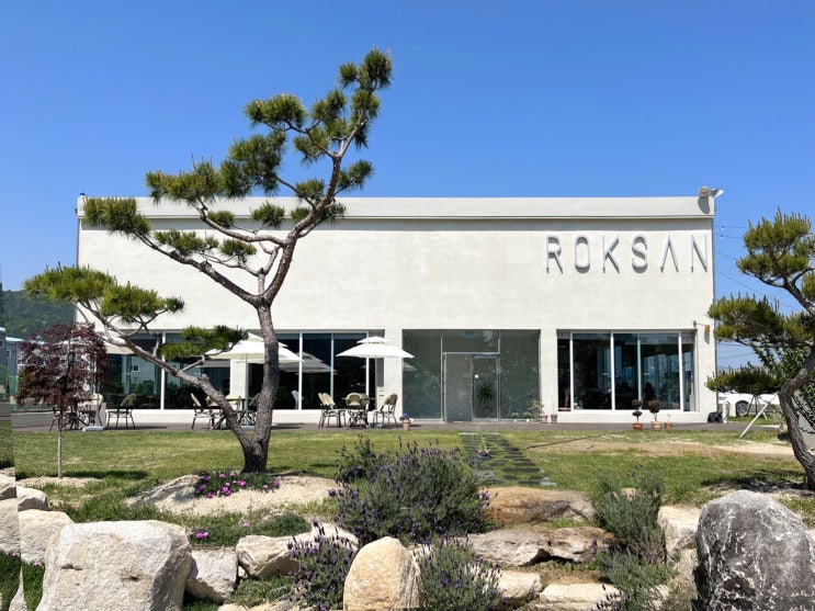  [강서구] 록산 _카페. ROKSAN