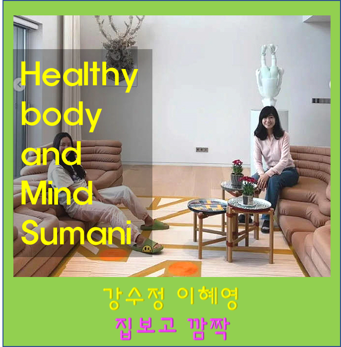 이혜영 집 보고 깜짝 놀란 강수정 아나운서 나이 키 인스타 프로필 전 남편 이혼 자녀 아들 ....