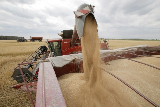 "빵 값 어쩌나"…쑥대밭 된 우크라, 밀 생산 35% 줄어들것