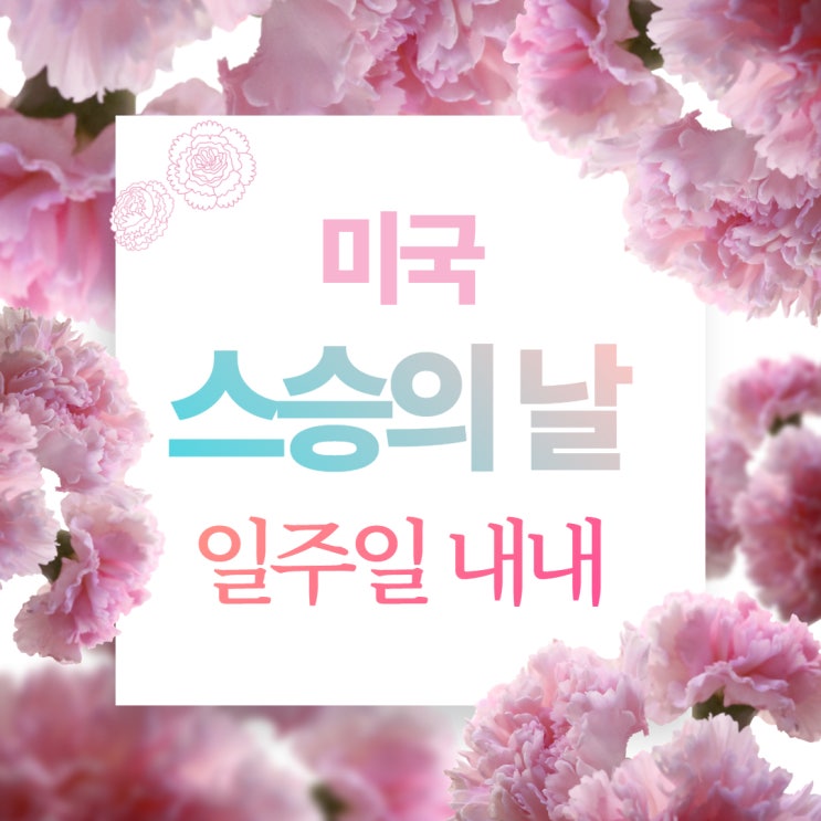  미국 스승의 날은 일주일 내내라고? 선생님 선물 준비하러 마트 타겟가기