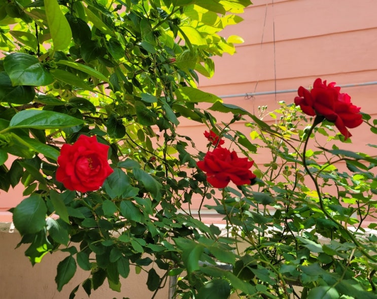  2022.05.07. 토요일 일기