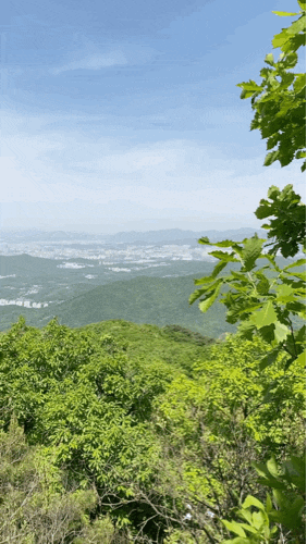 혼자하는 등산, 청계산 원터골 - 매봉 산행 혼자하는 등산, 청계산 원터골 - 매봉 산행