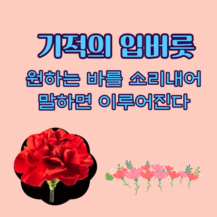  용기와 희망의 꿈을 이룰 수 있는 '기적의 입버릇' 책입니다.