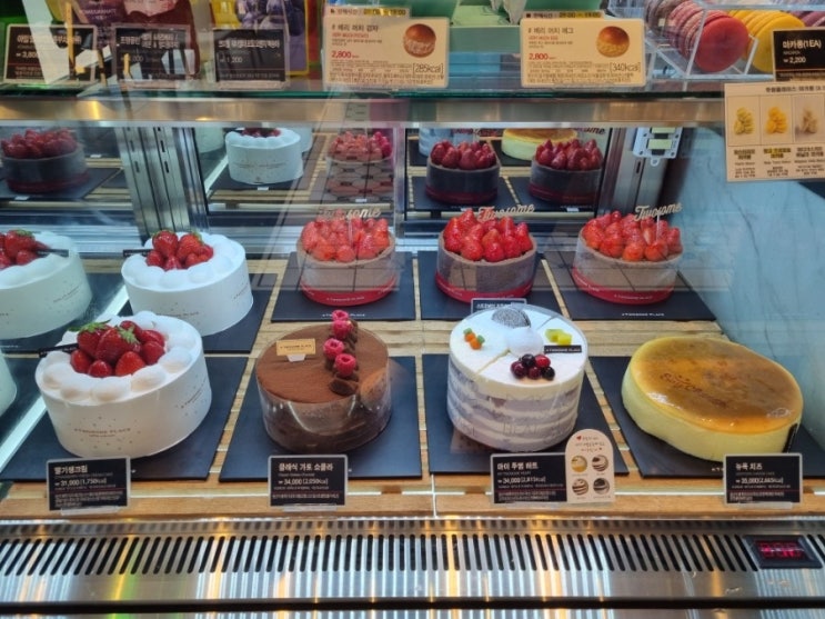  전곡 카페 투썸플레이스 케이크 맛집
