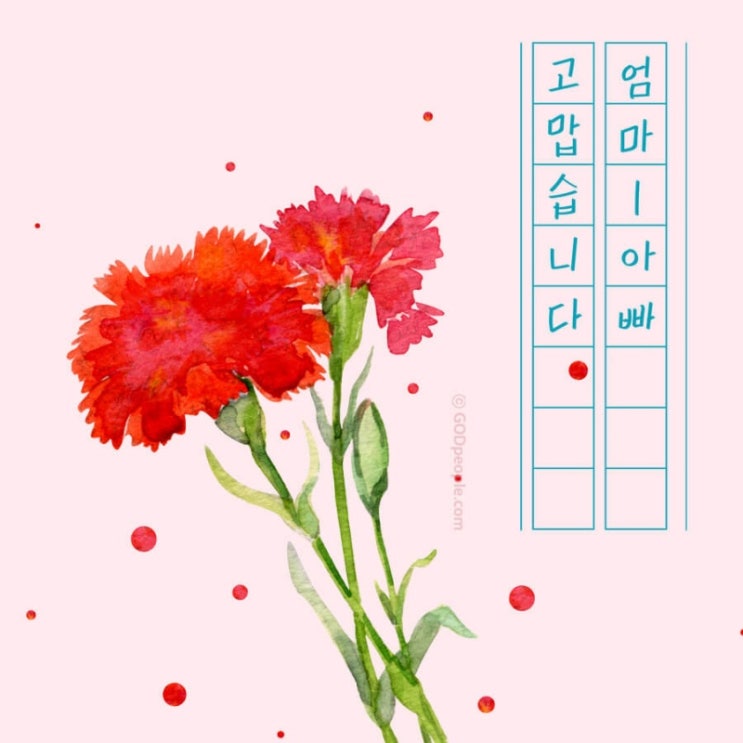  어버이날 감사 이미지파일
