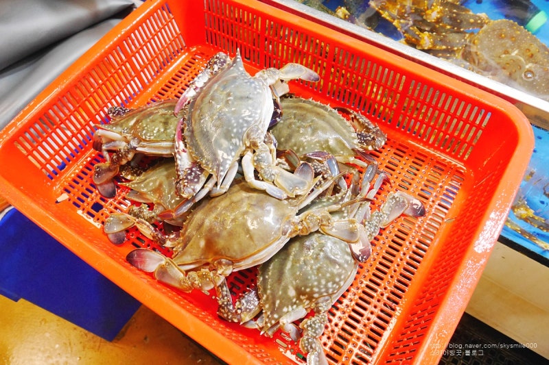노량진수산시장 꽃게 가격 1Kg 이상 맛있게~ : 네이버 블로그