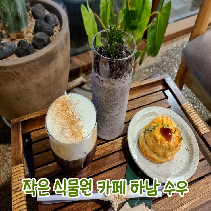  하남 신장동 스타필드 인근 조용한 식물 카페 : 수우