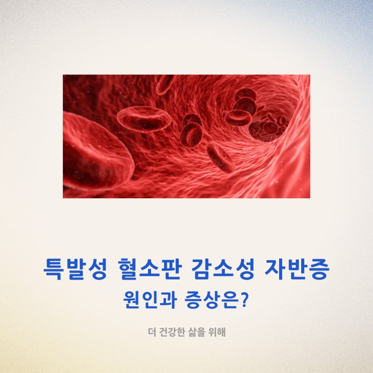  특발성 혈소판 감소성 자반증 원인과 증상은?