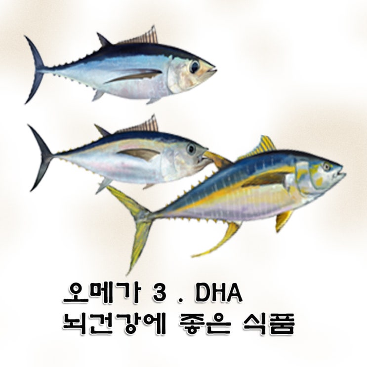  오메가3.DHA . 뇌 건강에 좋은 식품