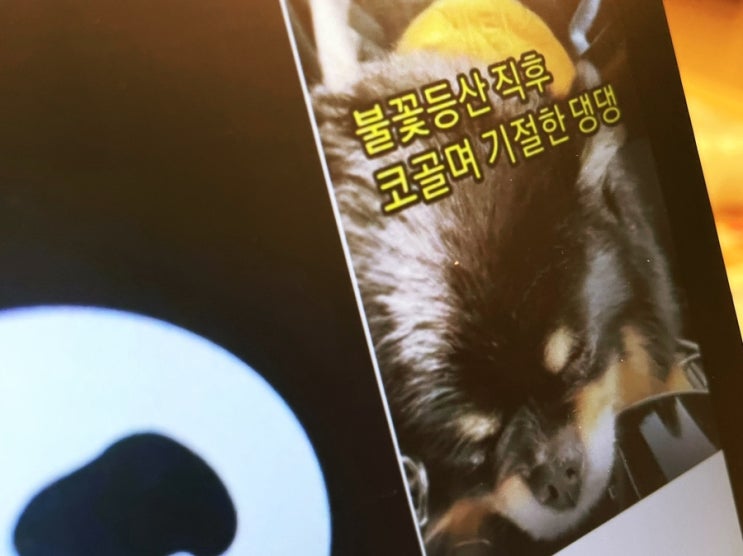  틱톡 이벤트, 이래도 참여 안한다구욧?!(게시물 등록만해도 리워드 혜택)