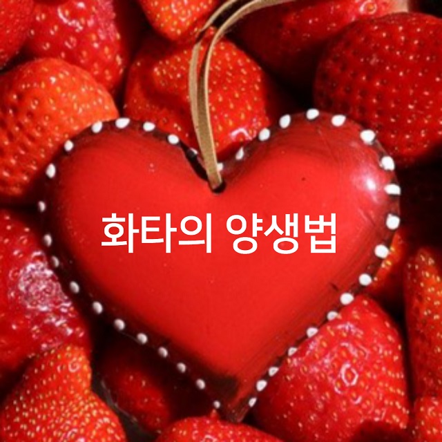  화타의 양생법으로 본, 피해야 할 식습관