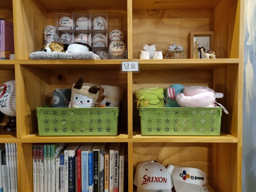 아로니아로니아 사진 6