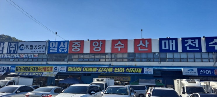  매천 수산물 도매시장