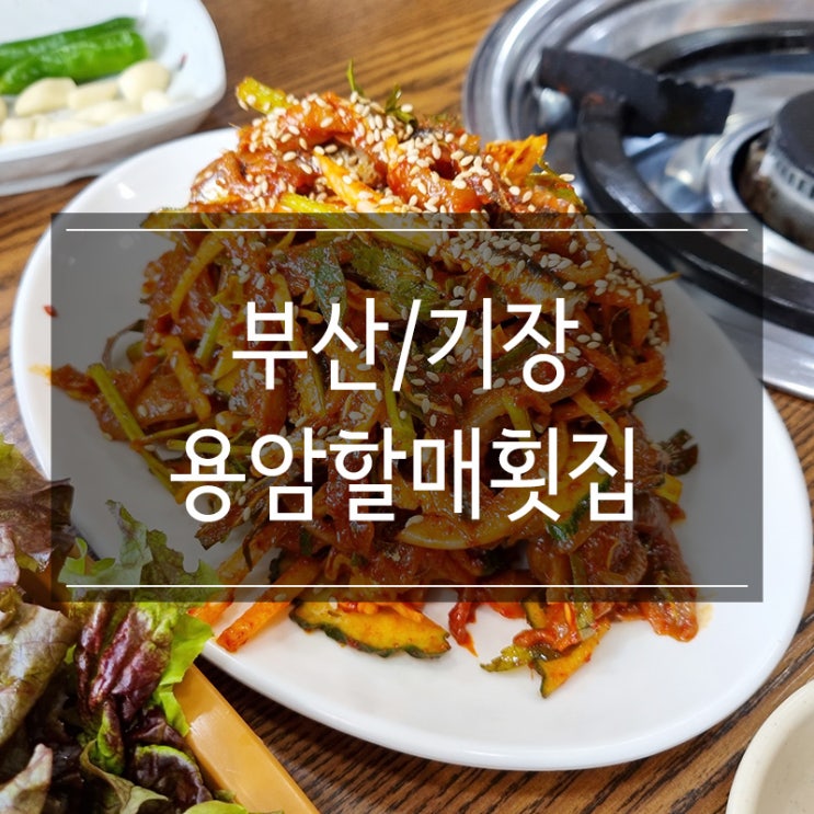 부산 대변항 맛집 <용암할매횟집> 멸치회와 멸치찌개 부산 대변항 맛집 <용암할매횟집> 멸치회와 멸치찌개