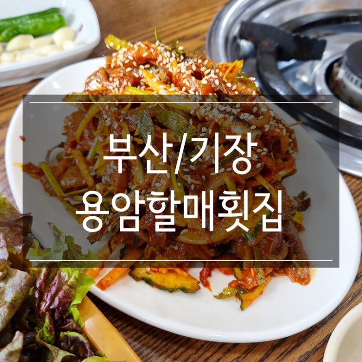 부산 대변항 맛집 &lt;용암할매횟집&gt; 멸치회와 멸치찌개