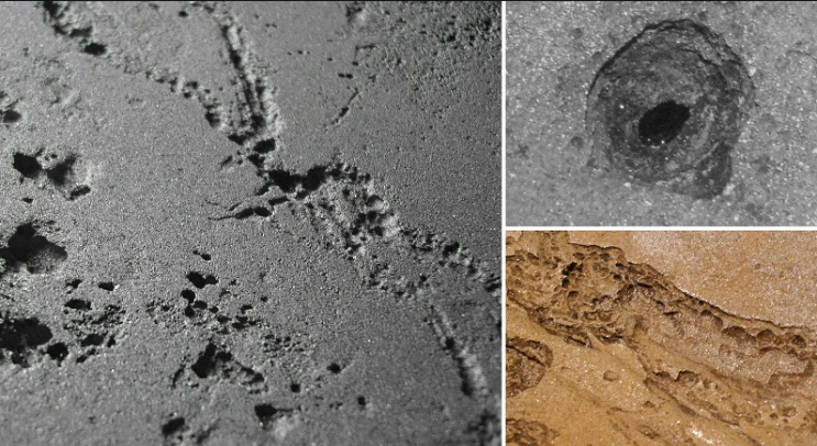  강재의 부식 (1) 미생물 부식(Microbiologically Induced Corrosion, MIC)