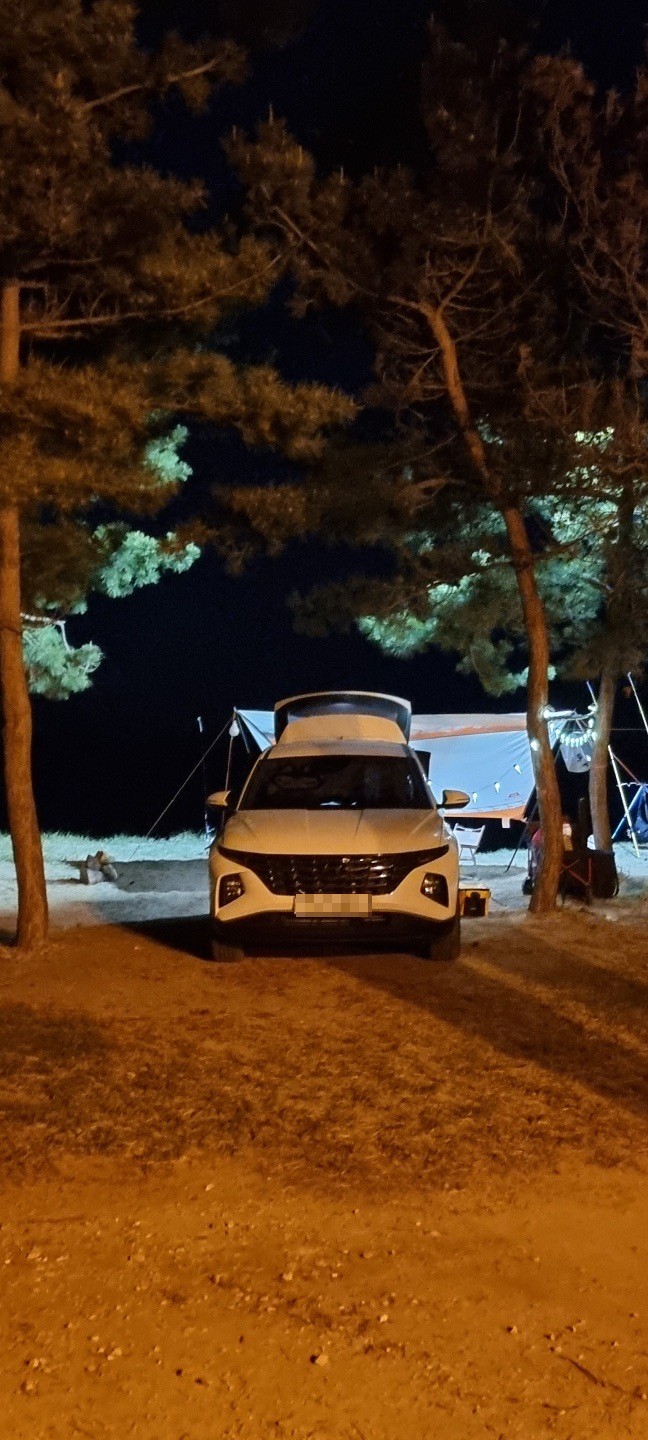 [장봉도] 반차내고 차박가기