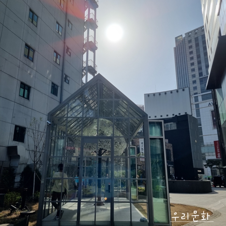 명동 볼거리 타임워크 구름나무 설치작품 명동 볼거리 타임워크 구름나무 설치작품