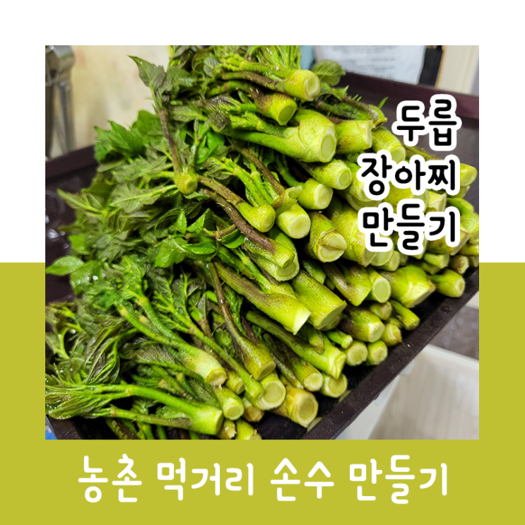  두릅 장아찌 만들기!