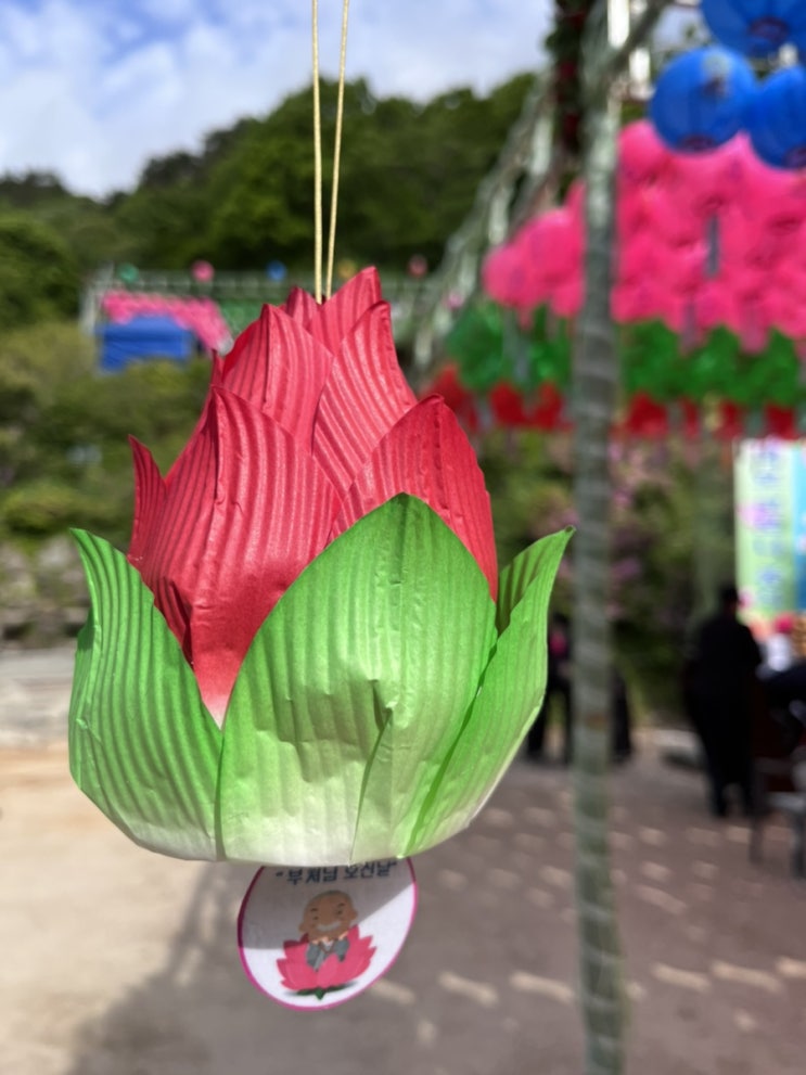 1년에 단 하루, 부처님오신날에만 개방하는 석굴암 방문 후기.