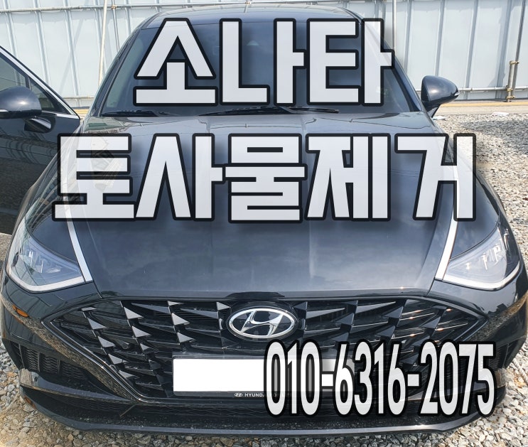  자동차토사물 시트세척은 정밀세차로 제거해요 소나타