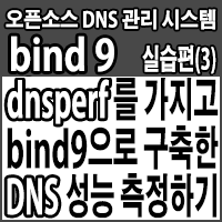 dnsperf를 이용하여 bind9으로 구축한 DNS 서버 성능 측정하기