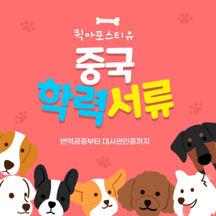  중국 학력서류 공증 후 한국에 제출하는 방법