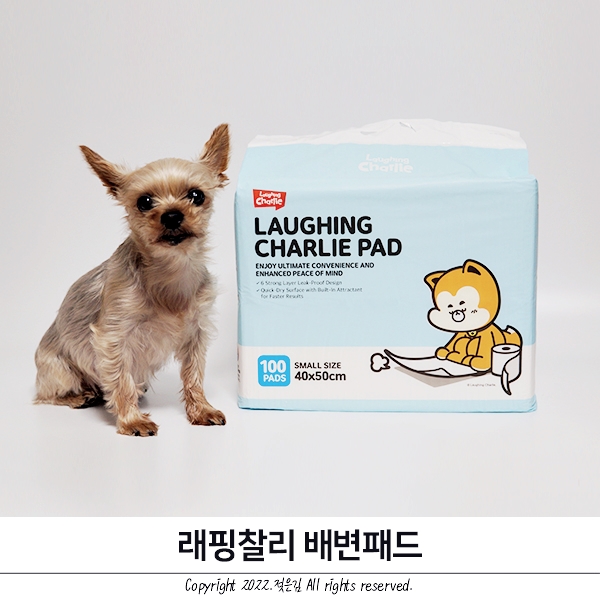 래핑찰리 배변패드 강아지배변패드 가성비 굿 래핑찰리 배변패드 강아지배변패드 가성비 굿