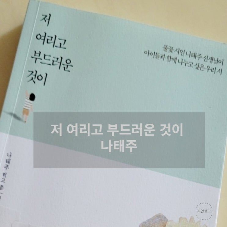  저 여리고 부드러운 것이, 풀꽃 시인 나태주②