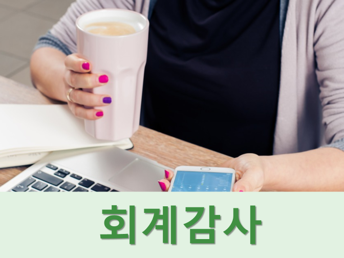  감사인 지정제도, 사유 및 선임기한 총정리