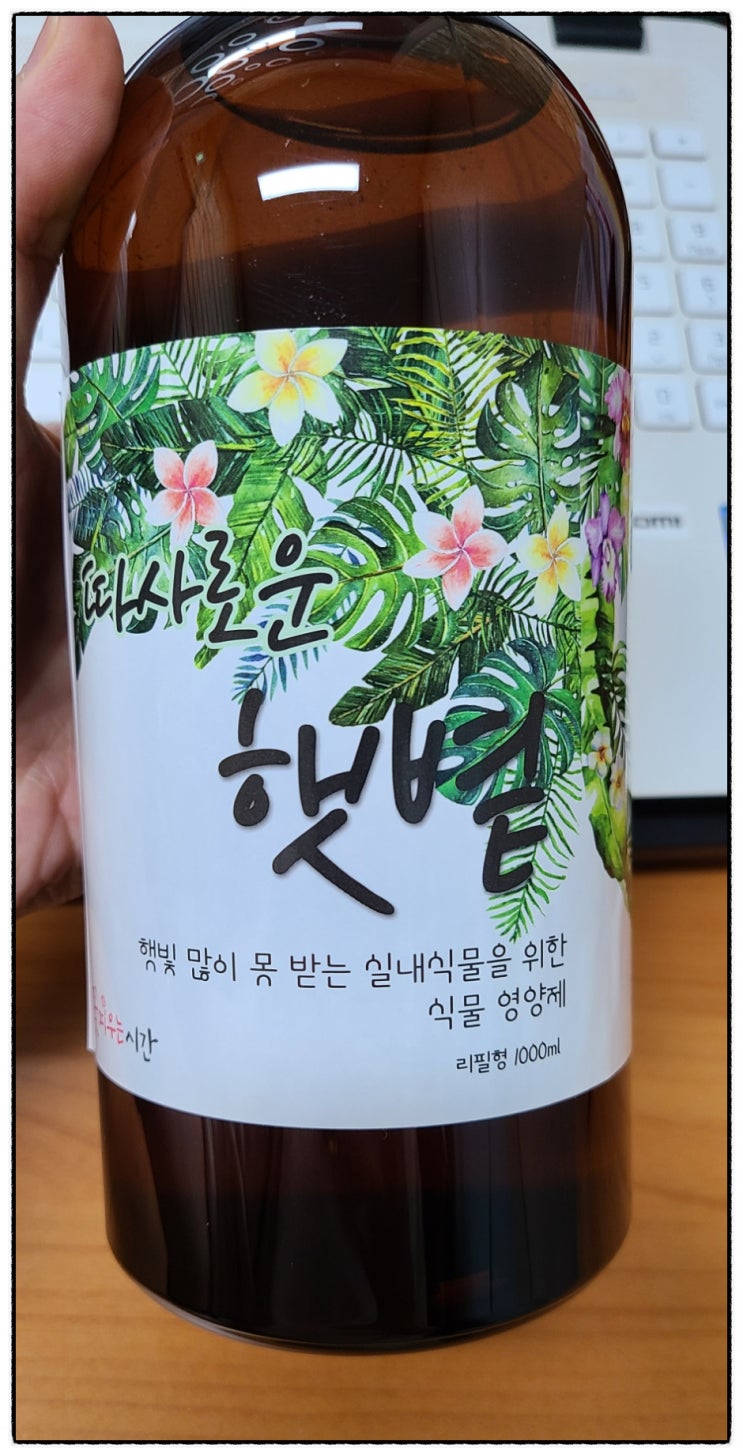 반려식물 영양제 빛을 못받는 실내식물에게 제격인 꽃피우는시간 반려식물 영양제 빛을 못받는 실내식물에게 제격인 꽃피우는시간