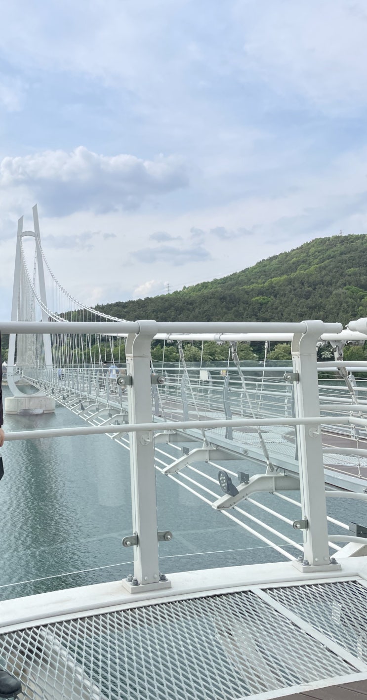  논산 탑정호 출렁다리 무료입장 꿀팁(입장료, 주차장 꿀팁)