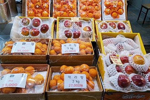 오늘청과2 이미지