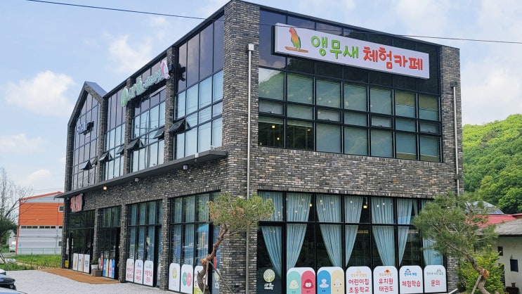  [용인/처인구] 앵무새 카페로 유명한 리프패럿 용인점
