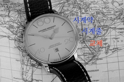  간단한 시계 약 & 시계 줄 교체