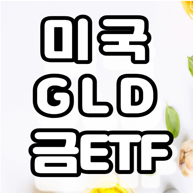 미국 GLD ETF -금 현물투자