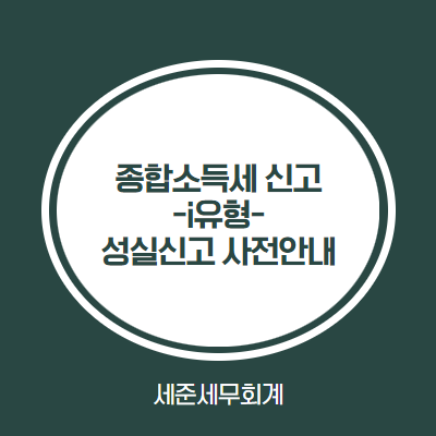  종합소득세 안내문 i유형과 신고시 주의할 점 (성실신고 사전안내)