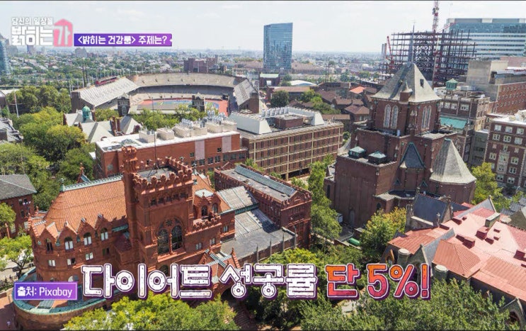SBS FiL 당신의 일상을 밝히는가, 정가은 다이어트 비법 샐러드