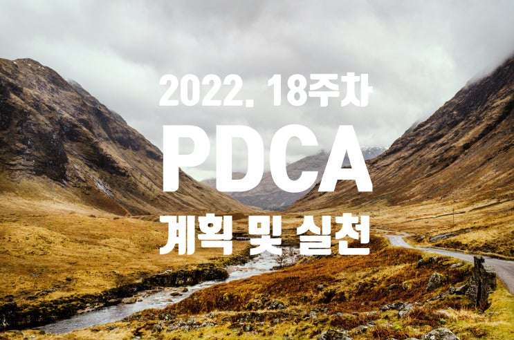 2022년 계획과 실천 18주차 점검 [젊음이라면..]