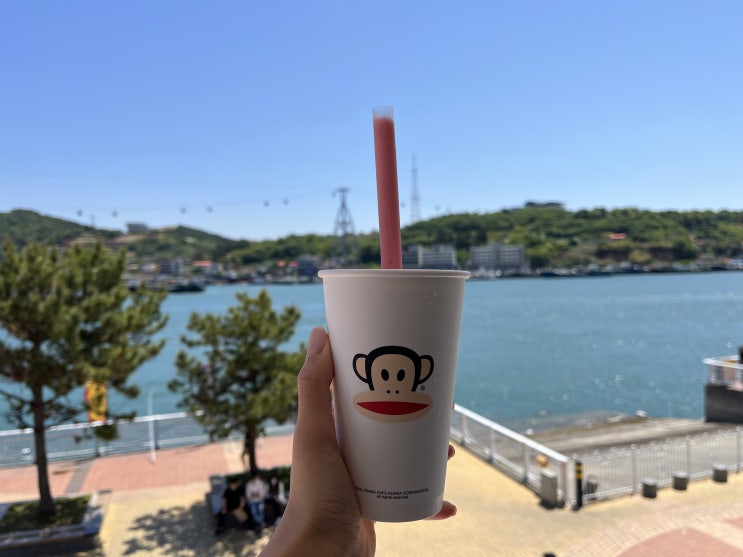 여수카페 폴프랭크 뷰 맛집 여수카페 폴프랭크 뷰 맛집