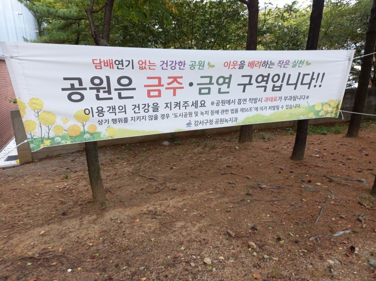 작년 가을에 찍은 서울시 강서구 등촌근린공원 사진입니다.