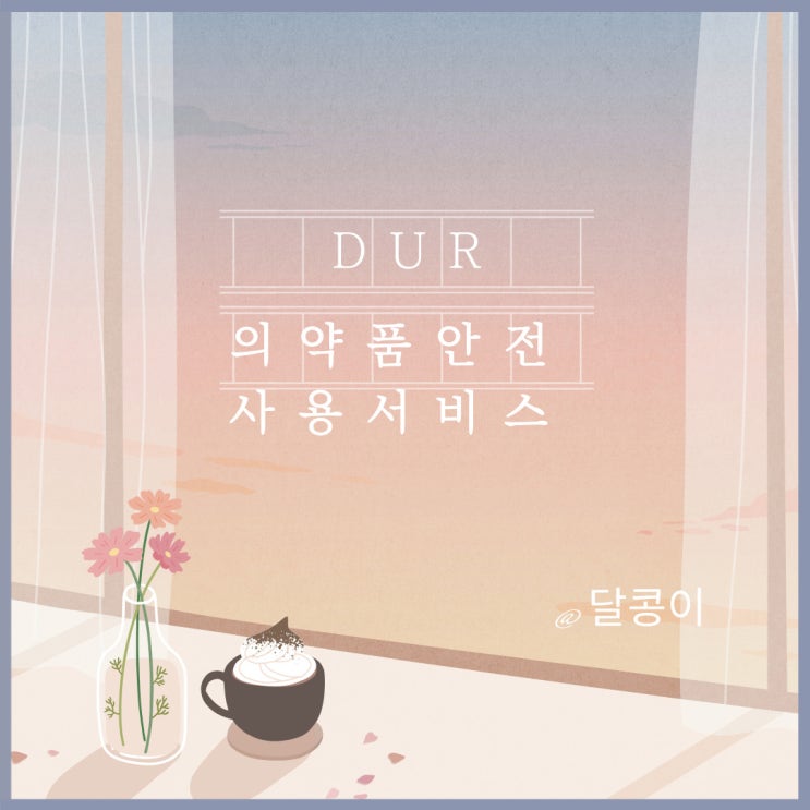  [DUR:Drug utilization review]의약품안전사용서비스 완전히 이해하기