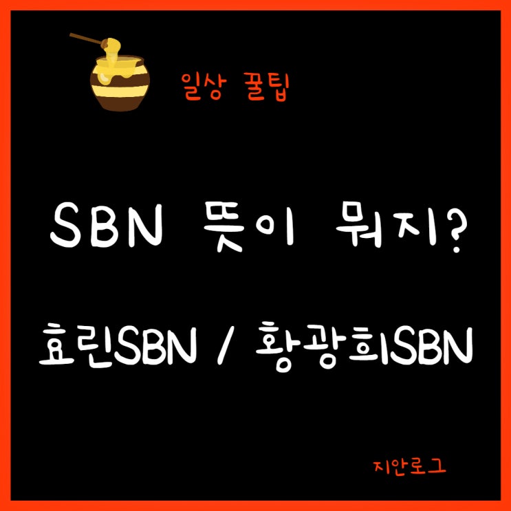  sbn 뜻, 효린sbn, 황광희sbn, mz세대 용어 콕 찝어 알려드려요