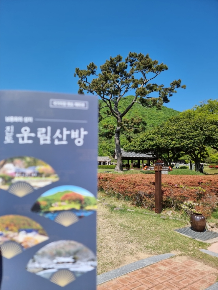 진도 명승지 운림산방