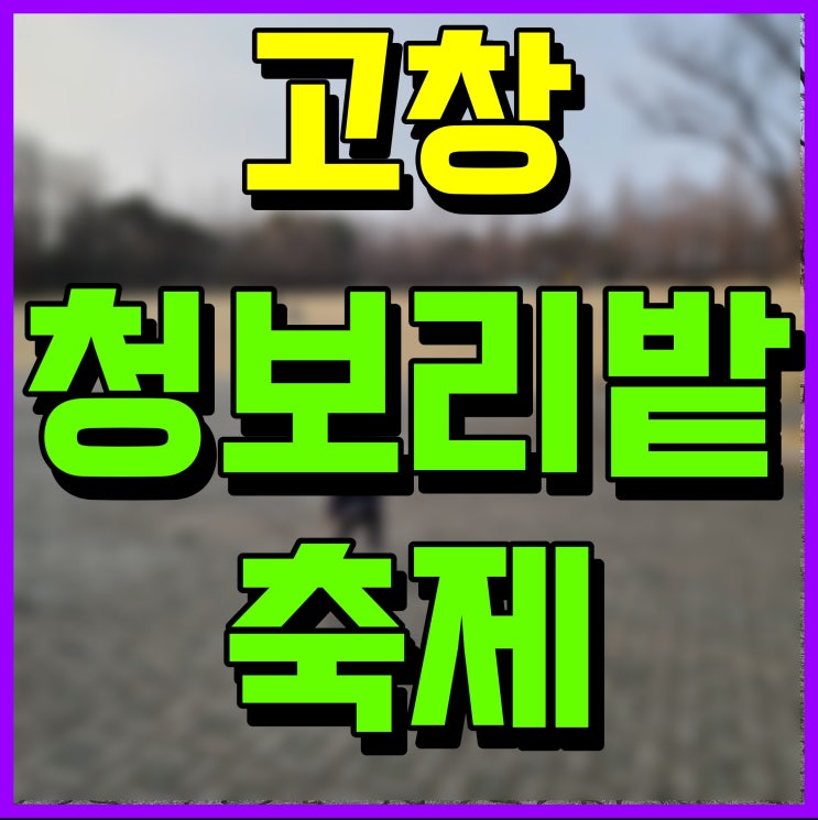  고창 청보리밭 축제 전라북도 행사 자연을 품어 보자