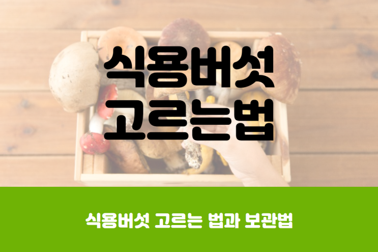  식용버섯 종류 고르는 법과 손질 보관법