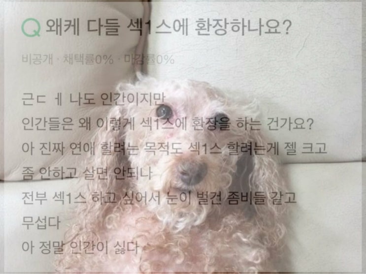  [일상]종교 하나씩 갖고 내세를 준비하며 사는게 정신에 이롭겠어요