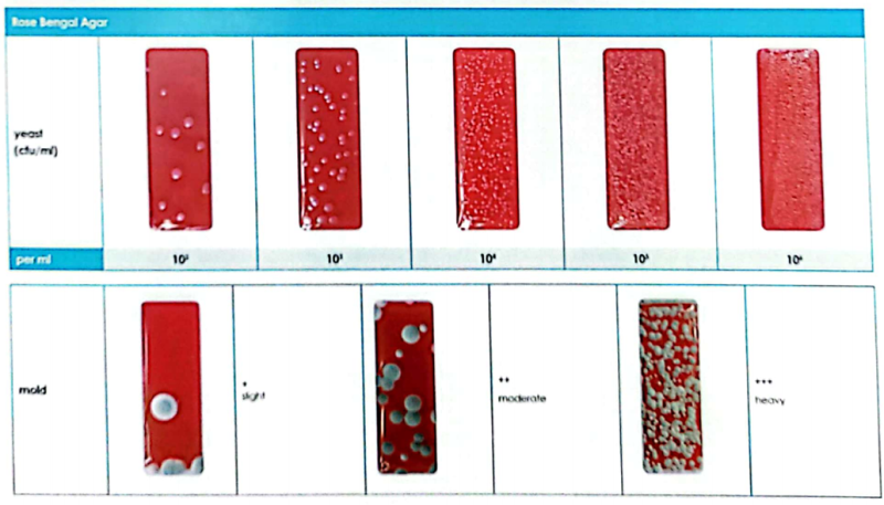 Sedia Ikone Django main image 0