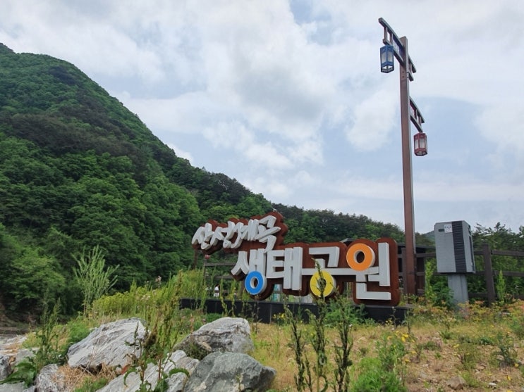  영덕 가볼만한 곳 : 산성계곡 생태공원 어드벤쳐 옥계계곡 팔각산