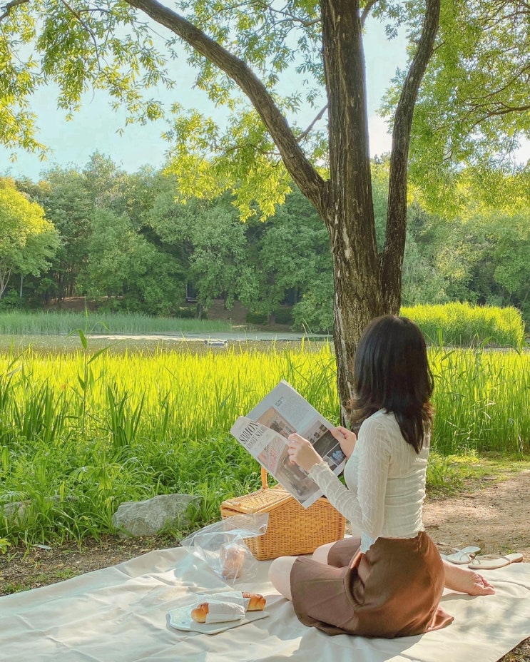  서울숲 피크닉 우리만의 스팟 :: 피크닉매트, 라탄바구니 